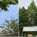 부천중앙초등학교 이미지