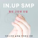 인업 이미지