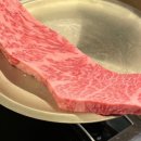 이-숯드림 이미지