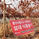 약산가스 이미지
