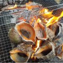 오션이니스프리 펜션 이미지