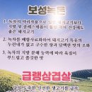 아라네 본사직영점