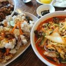 장기반점 이미지