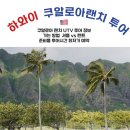 하버타운 앞 교통섬 1 | 하와이 쿠알로아랜치 UTV 투어 예약 | 교통 셔틀 우버 | 복장 준비물