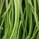 한골농장 이미지