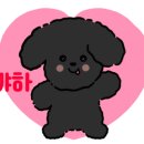 미스터아빠무동점