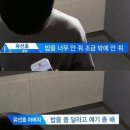 🧋대만 여행기🧋