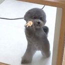 풋풋하게 이미지