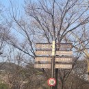 뽕잎사랑안양예술공원점 이미지