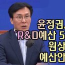 김민석, 윤정권 마적단처럼 R&D예산 5조원 약탈 이미지