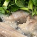 성남농장 이미지
