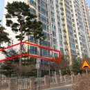 고양대로 255번길 이미지