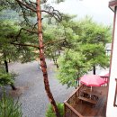 영월힐링숲펜션 이미지