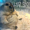 정민조경 | 1-4-3