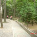 구덕청소년 수련관 이미지