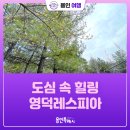 영덕레스피아 인라인하키장 | [용인여행] 도심 속 힐링 영덕레스피아