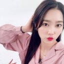 마이딩고 이미지