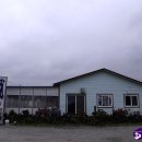 베또롱 | 제주 어멍이 해녀 :: 성게비빔밥, 한치 물회 솔직 후기!