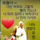 오늘은좋은날 Daum카페