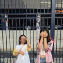 (주)자연과생명 | [일상기록] 한화생명볼파크 330구역 직관, 어센틱 썸니폼 마킹후기