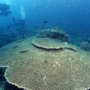 물속풍경 이미지