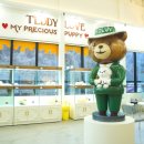 인천고양이분양 테디럽 이미지