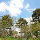 오늘상사 이미지