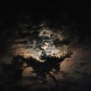 여문공원낭만페스티벌공연 | 2025 썸데이페스티벌 WEEK 1 후기 - 라인업, 야외 페스티벌 준비물, 외부음식