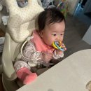 담별 이미지