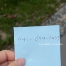 [태안맛집] 태안 &#39;무이림&#39; 혼자 여행 다녀온 외로운 후기, &#39;만대회수산&#39; (택시타고 저녁식사편)