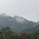 카페산세