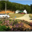 광림농원 이미지