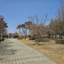 새암공원(1) 네이버블로그