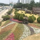 남구미로-6 이미지