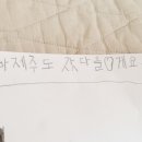 빌레리조트 이미지