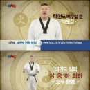 강호동태권도 경향신문