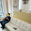동대문 루시드 동물메디컬센터 이미지