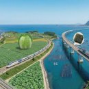 제주의 이유 이미지