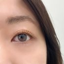 강남속눈썹펌 너무 만족스러웠던 후기 &#39;모피움청담&#39;