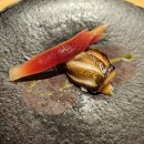 스시다 | 일본 오사카 오마카세 맛집 스시 후지야마 디너 방문 후기