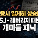 주식시황] 8/26 미국채 금리 하락·반도체주 반등 / WSJ, 레버리지에 개미들 패닉 / 키트루다 시밀러 경쟁 본격화 이미지