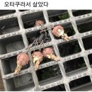 짱구PC방 | 블챌로 밀린 일상을 모아