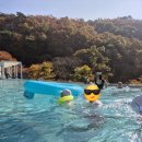 키즈스플래쉬 | 스플래쉬어바웃 키즈래쉬가드 내돈내산 후기