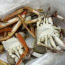 동구릉로136번길 | 구리농수산물시장 해변마을 인어교주해적단 퀵 배송 대게 꽃게 내돈내산 후기