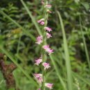 금곡동-7 이미지