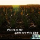 가든. 자연 담다 이미지