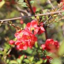 수원-1820 이미지