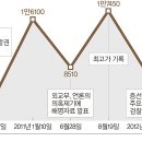 씨엔케이인터내셔널 이미지