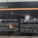 입학도설 | 가족들과 강원도여행(5)(선교장/오죽헌/강릉중앙시장)
