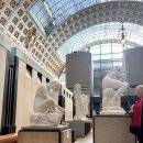 명인약국 | 미술관 가이드랩 투어/튈르리 정원/마라탕 맛집/인생네컷/메르시/스투시/사브르/몽쥬약국/에펠탑 포토스팟